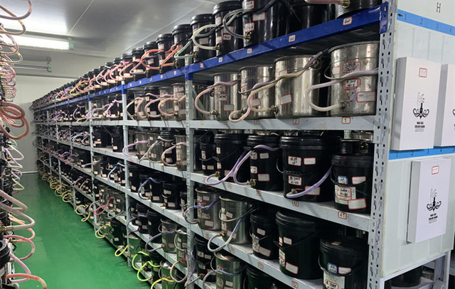 Polaco de gel de uñas